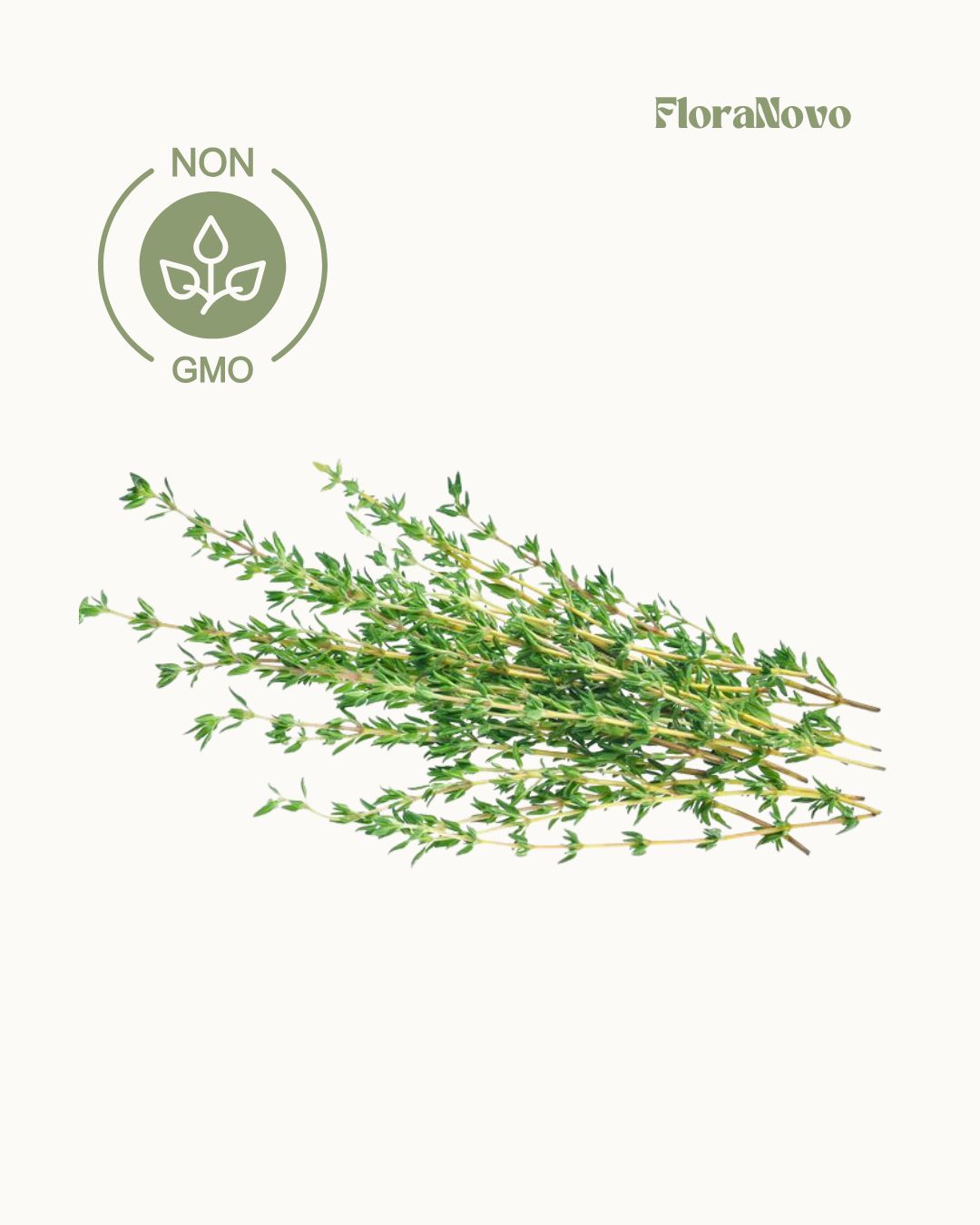 Thyme Seeds (Lifetime supply of over 1,200 seeds)