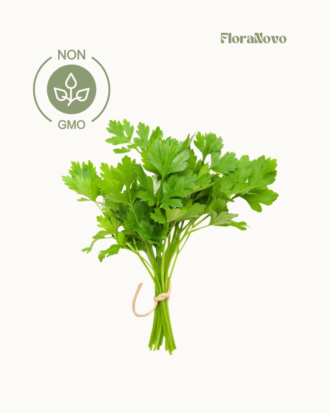 Parsley Seeds (Lifetime supply of over 1,000 GMO free seeds)