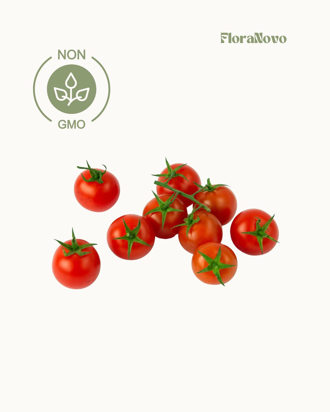 Cherry Tomato Seeds (Lifetime supply of over 250 GMO free seeds)
