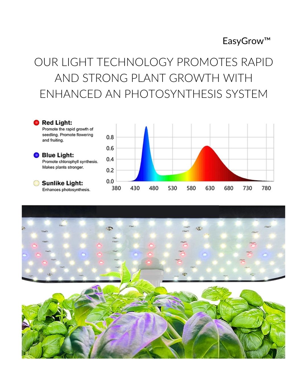 EasyGrow™ - 12 Pod System (Free Starter Kit Gift Included)
